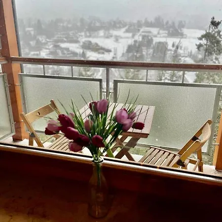 Pogodny Apartamentyzakopianskie Basen Sauna Jacuzzi Apartment *